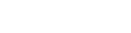 Web Wizard Day School Logo